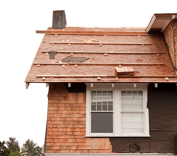 Storm Damage Siding Repair in Apollo Beach, FL